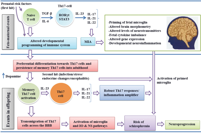 Fig. 2.