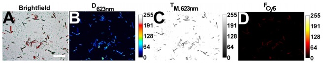 Fig. 4