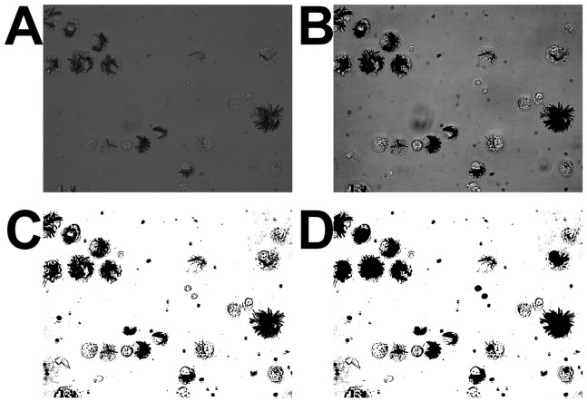 Fig. 3