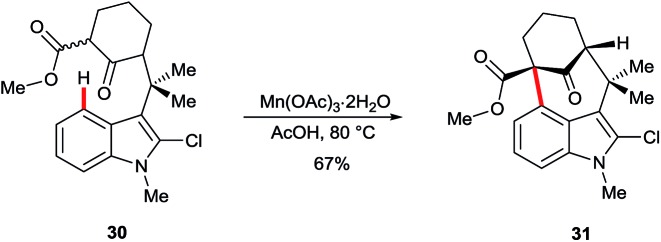 Scheme 5