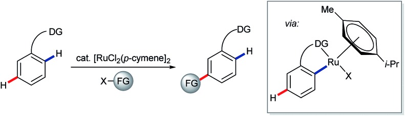 Scheme 9