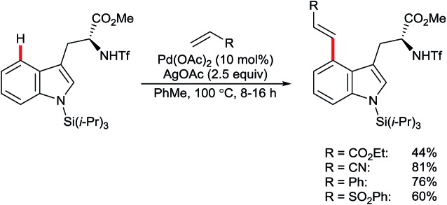 Scheme 18