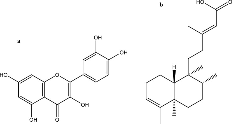 Fig. 1