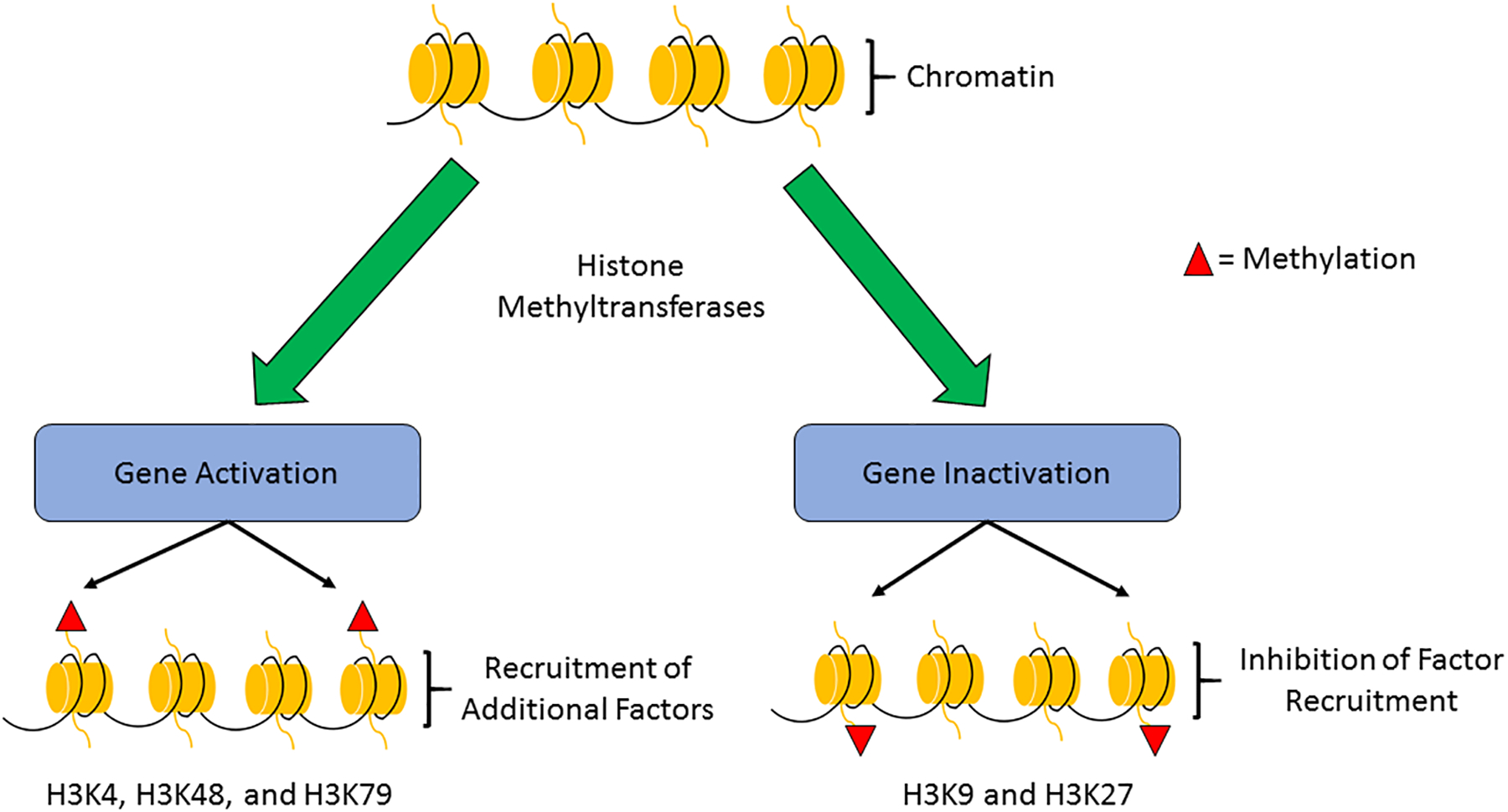 Fig. 2: