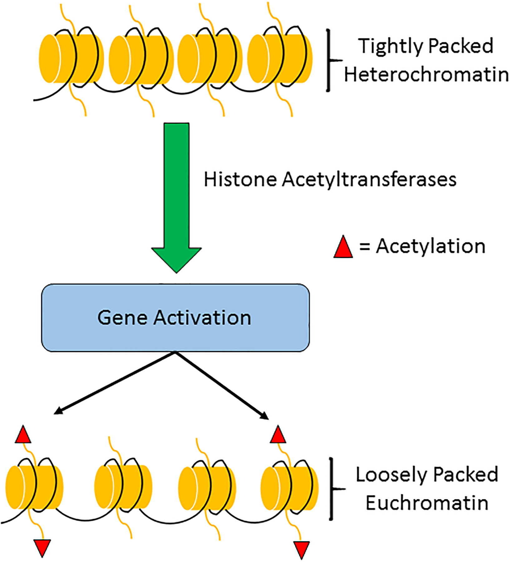 Fig.3: