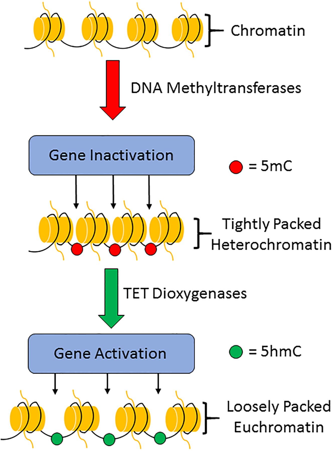 Fig. 1: