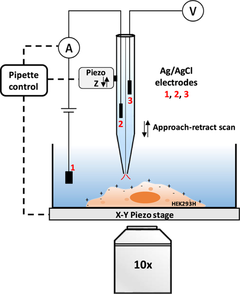 Figure 1.