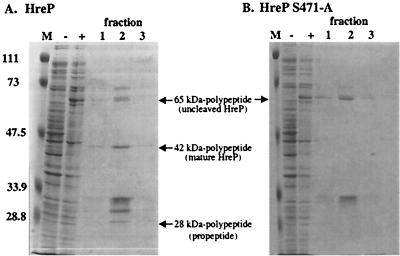 FIG. 4