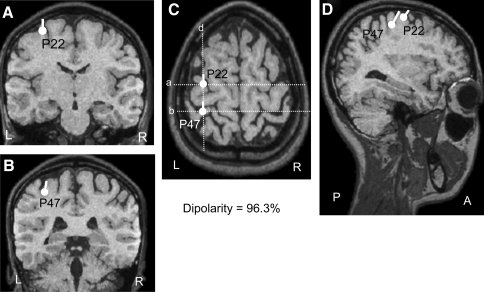 Fig. 5