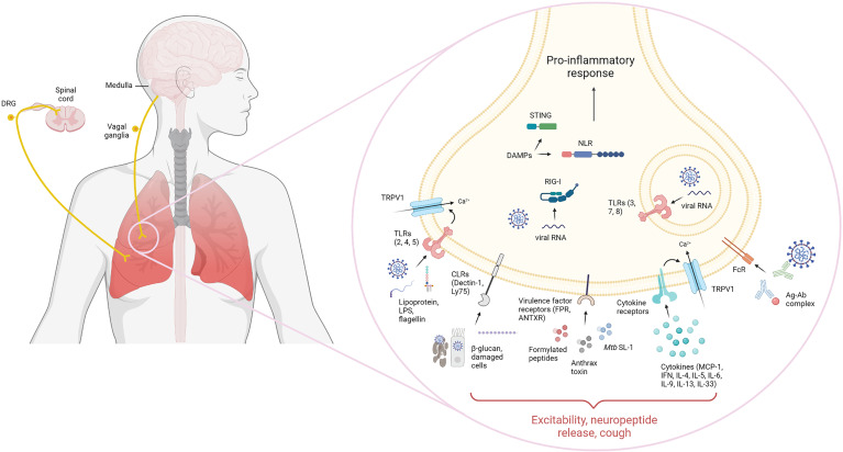 Figure 2