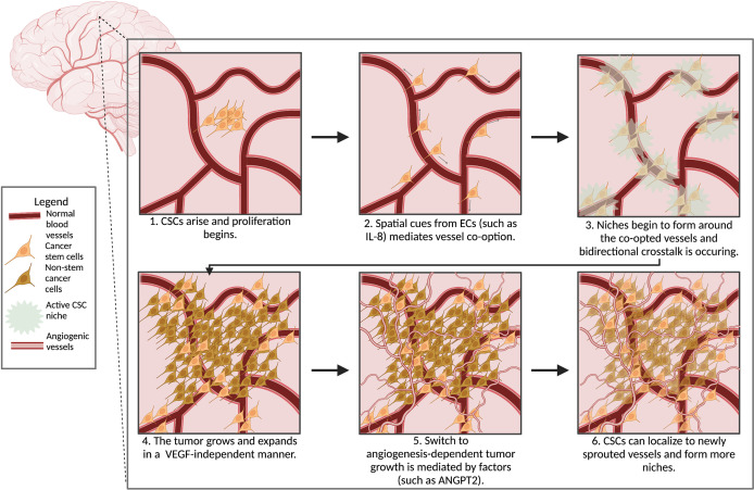 Figure 2