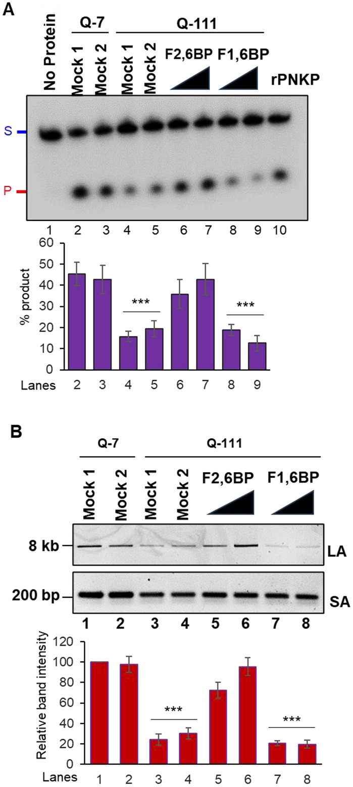 Figure 5:
