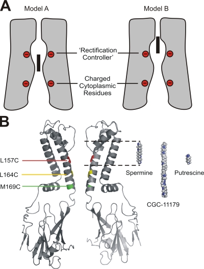 Figure 10.