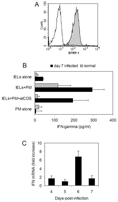 FIG. 6