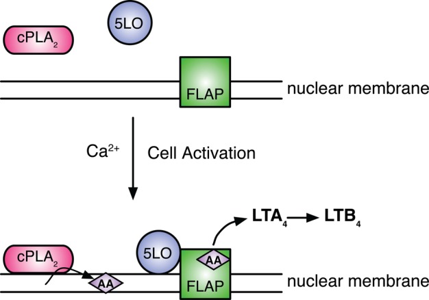 FIGURE 1: