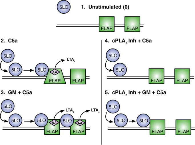 FIGURE 6: