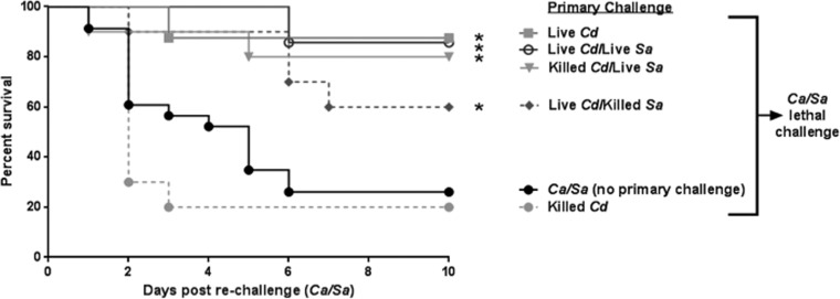 FIG 2 