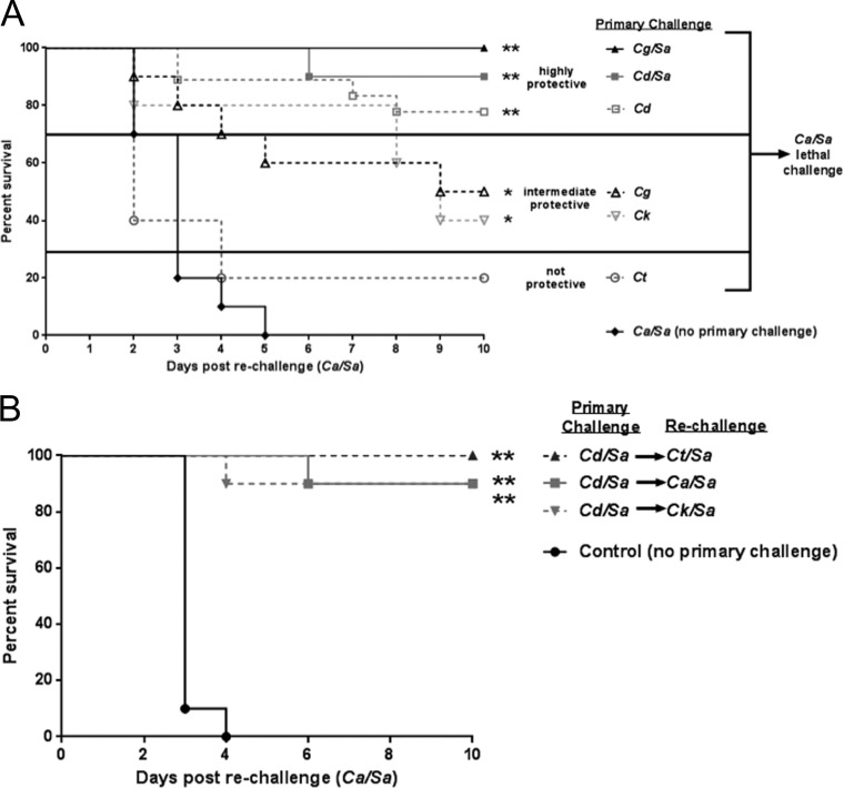 FIG 1 