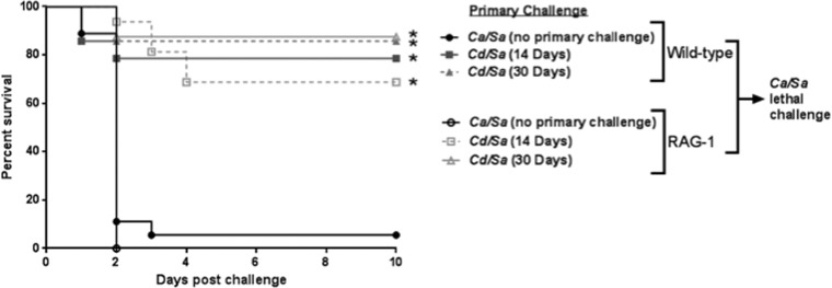 FIG 4 