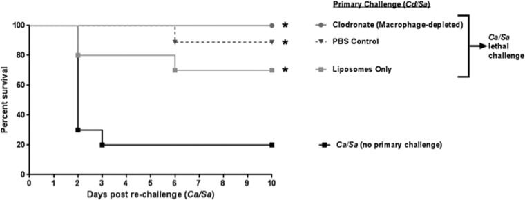 FIG 5 