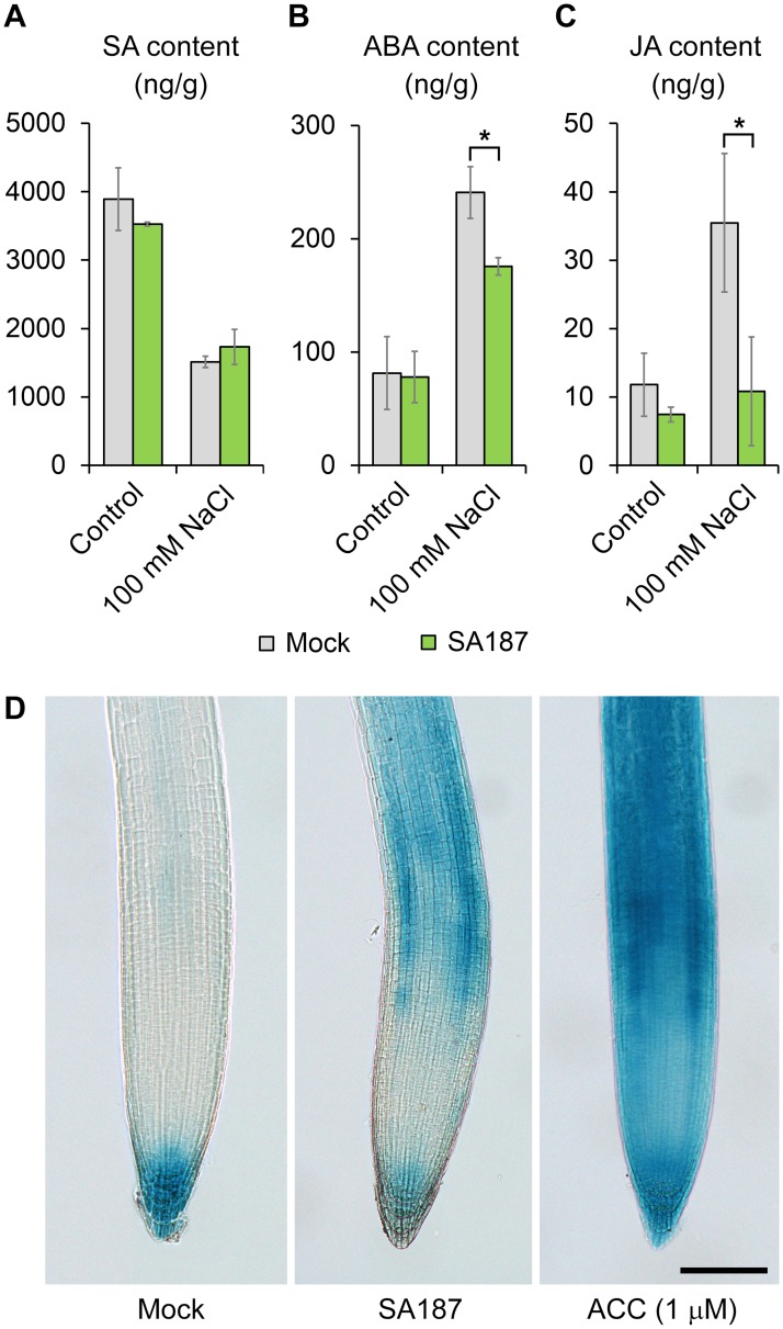 Fig 6