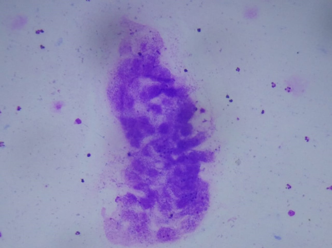 Fig. 4