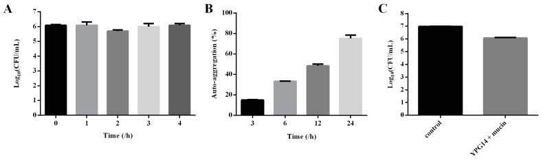 Figure 6