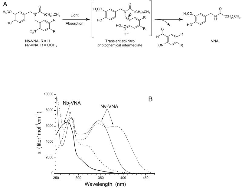 Figure 3A