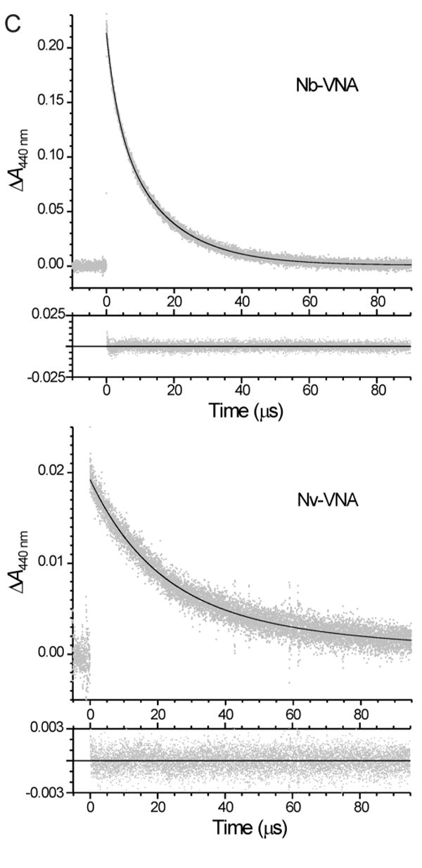 Figure 3A