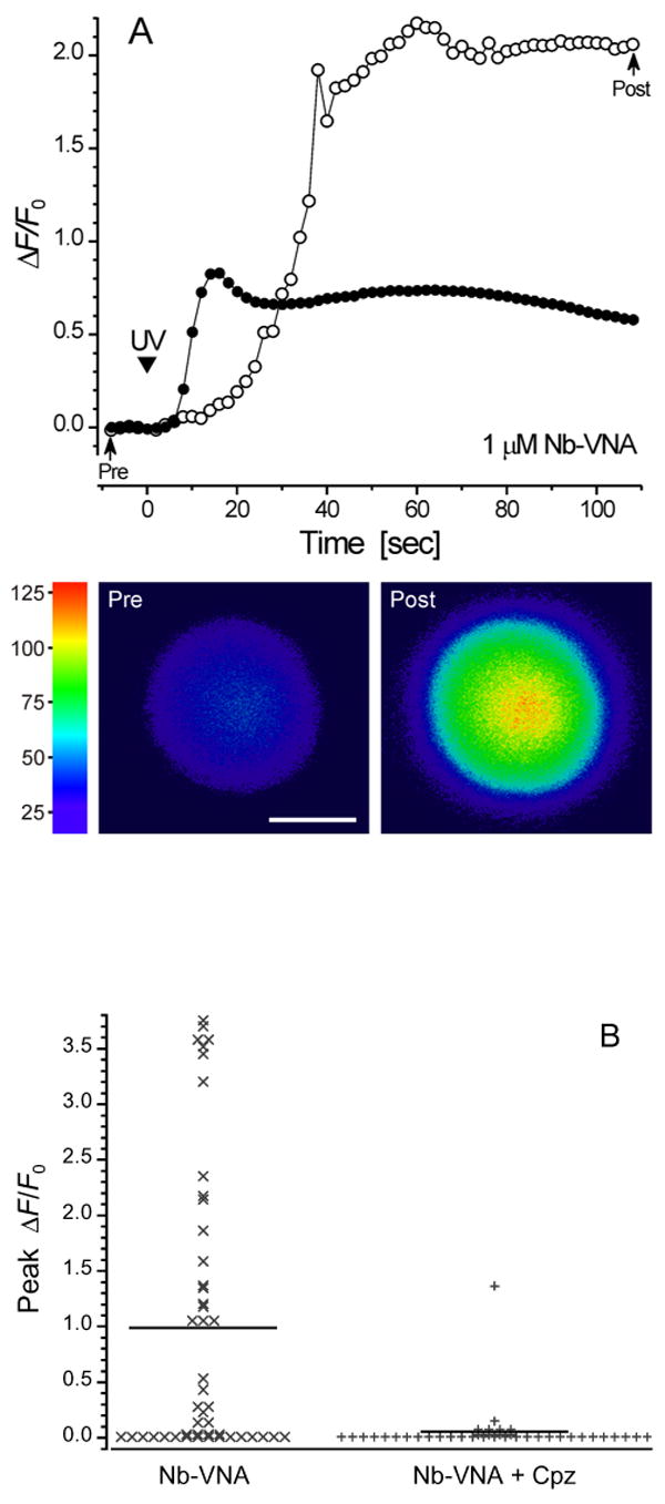 Figure 4A