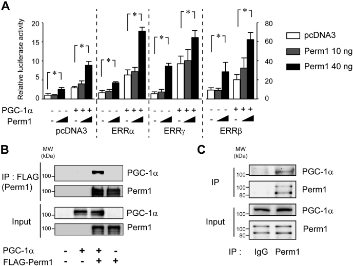 Figure 6