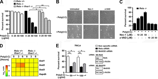 FIG. 7.