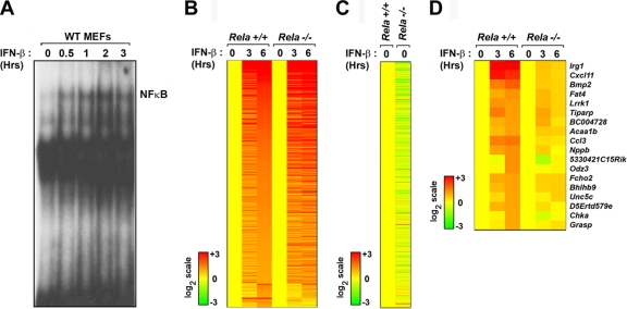 FIG. 6.