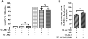 Fig. 12