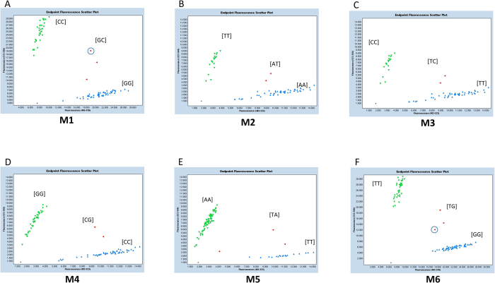 Figure 5