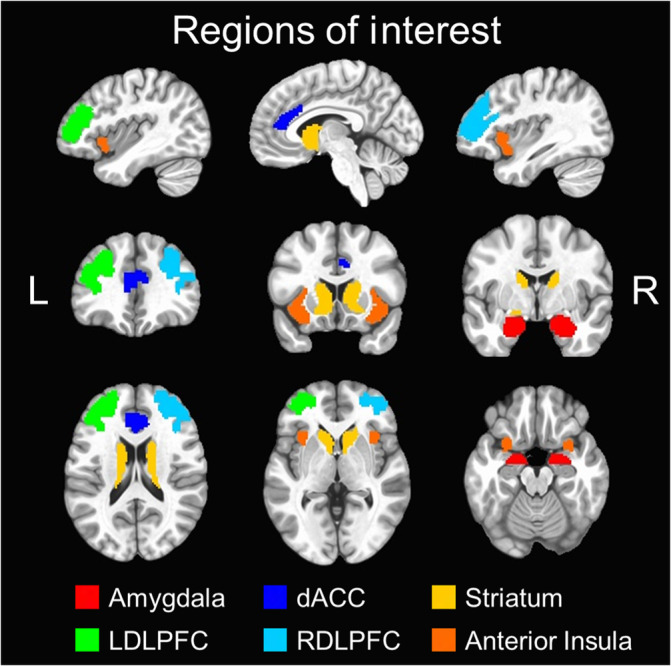 FIGURE 2