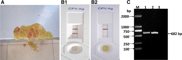 Fig. 1