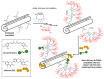 Figure 23