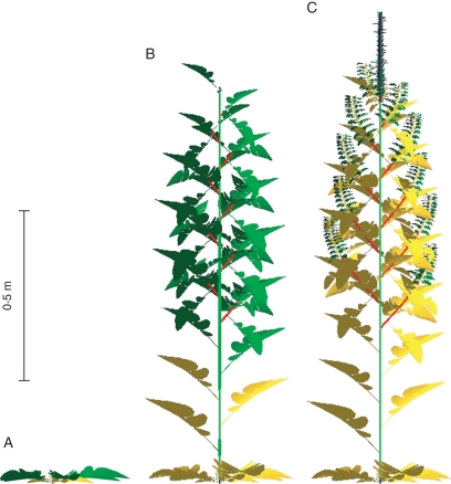 Fig. 4.