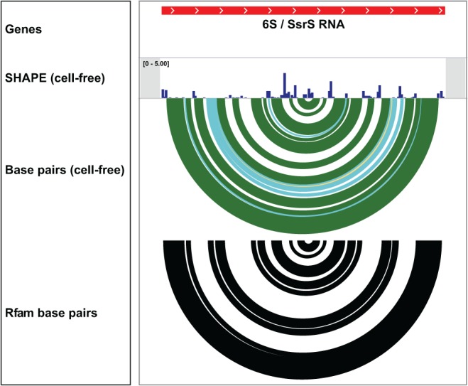 FIGURE 4.