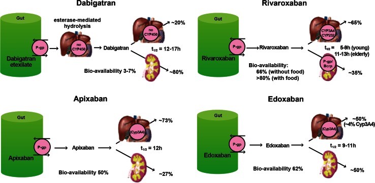 Fig. 4