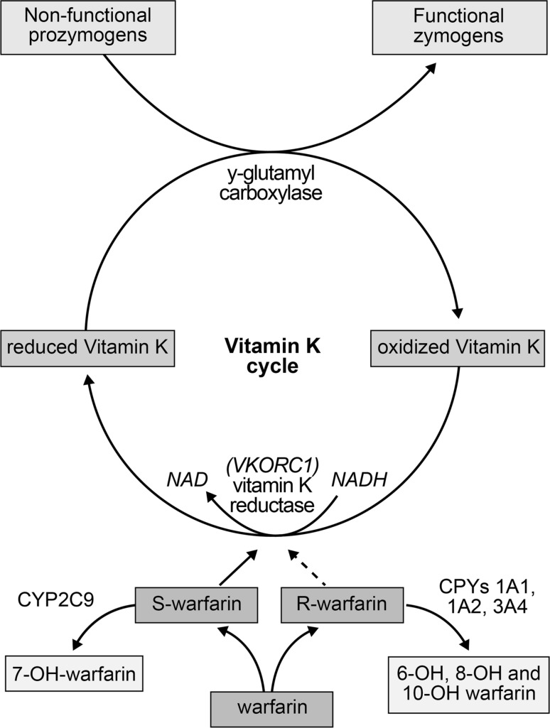 Fig. 2