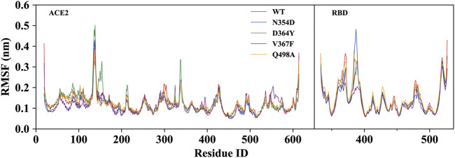 FIGURE 3