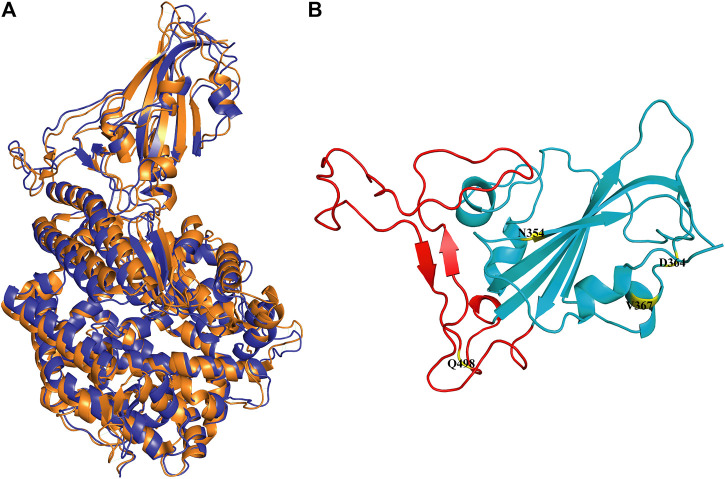 FIGURE 1