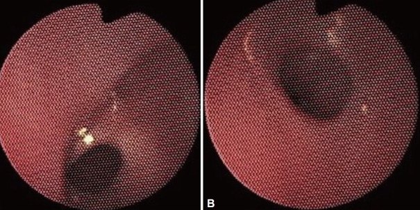 Fig. 5.