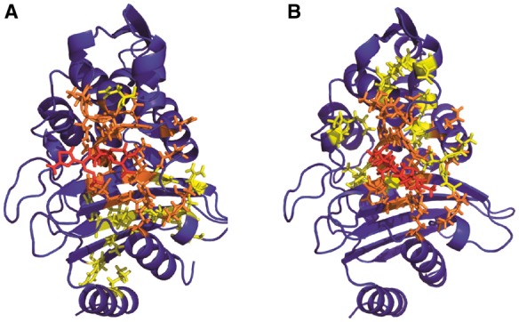 Fig. 4.