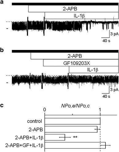 Fig. 8