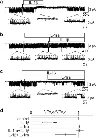 Fig. 1