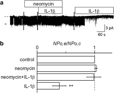 Fig. 4