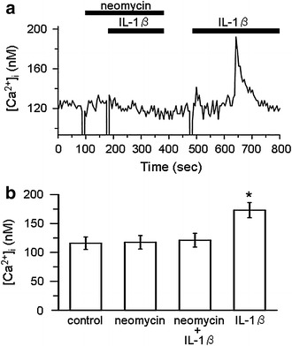 Fig. 6